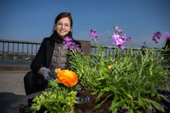 Gunilla Glantz, trafikdirektör i Stockholms stad. Foto: Sven Lindwall