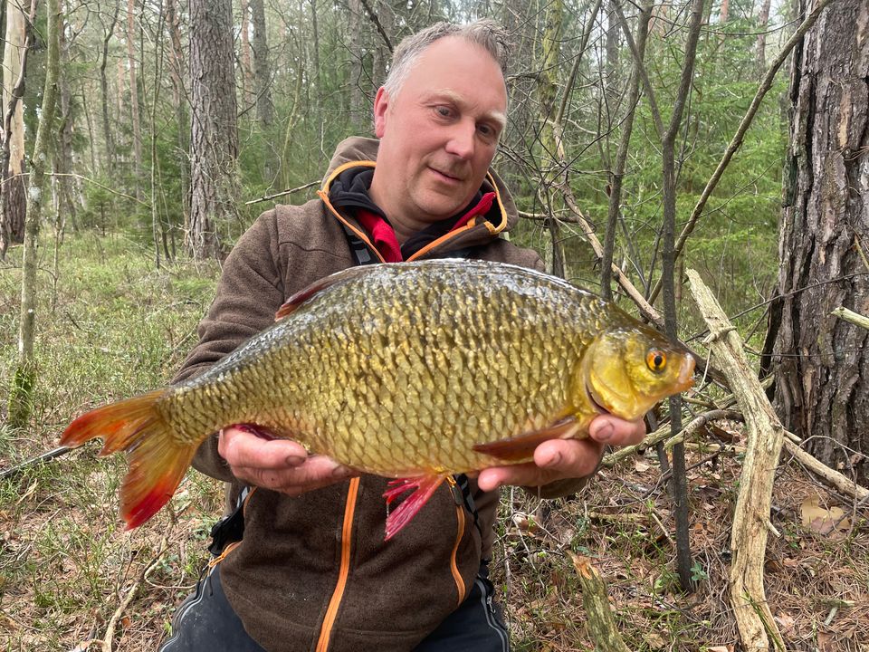 Anders Lilja med storsarv