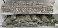 Största cannabisbeslaget 2021. 344 kilo beslagtogs vid Öresundsbron