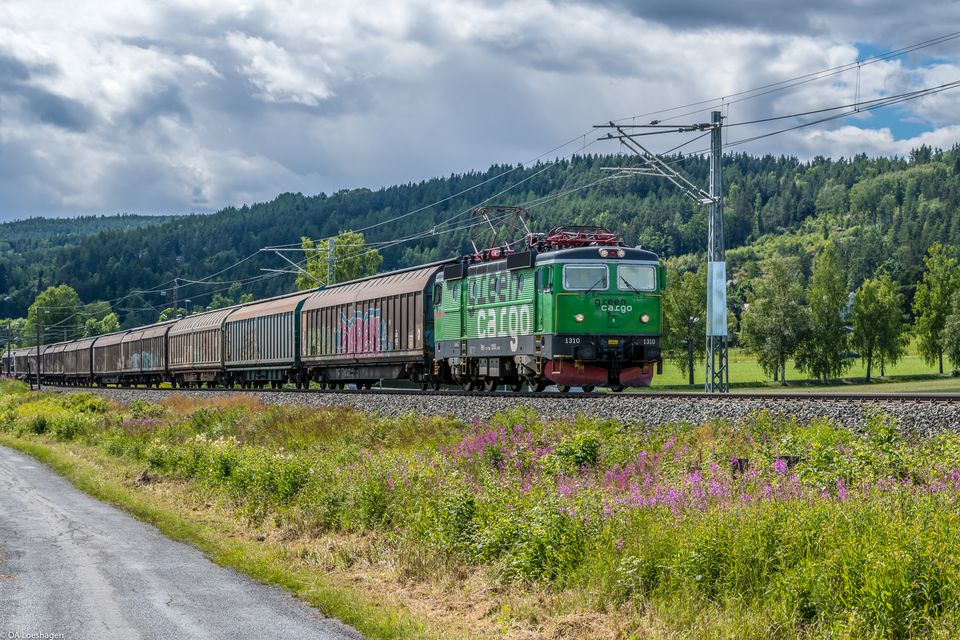 Green Cargos godståg