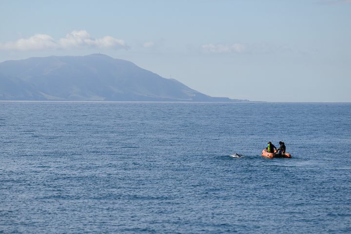 Nathalie Pohl in open seas during her crossing of the Cook Strait (photo: Mark Tantrum)