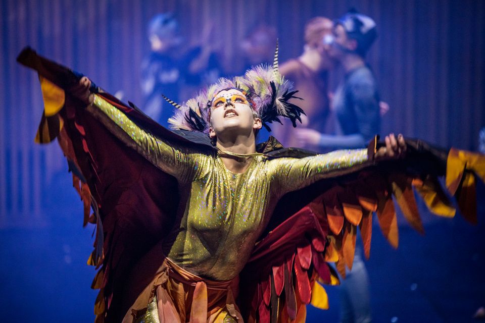 Eldfågeln_2_fotoLarsKroon