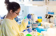 Molekylärbiologen Lotte Moens hanterar prover inför en genanalys (NGS-analys) som görs rutinmässigt vid bröstcancer för att diagnostik och behandling ska bli mer träffsäkra.