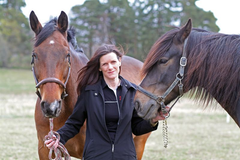 Tf statsveterinär Gittan Gröndahl, SVA, initierade 2016 ett smittskyddsprojekt tillsammans med länsveterinärerna i sex utvalda län. Foto: Carin Wrange