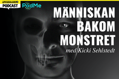 I Aftonbladets podd ”Människan bakom monstret” går kriminologen och deckarförfattaren Kicki Sehlstedt djupet in i gärningspersoner som begått vidriga brott i ett allvarligt försök att hitta just människan bakom monstret. Första avsnittet är öppet. Övriga finns i Aftonbladet Plus – och i premiumtjänsten Podme.