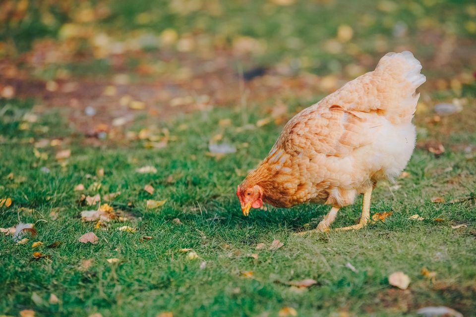 shutterstock_2552295917.jpg