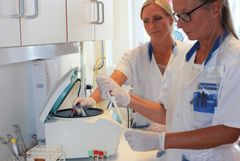 Som första sjukhus i Sverige startar Akademiska i mars ett introduktionsår för forskningssjuksköterskor. På bilden syns från vänster Malin Edén, forskningssjuksköterska inom geriatriken, tillsammans med handledaren Eva-Lise Lundberg.