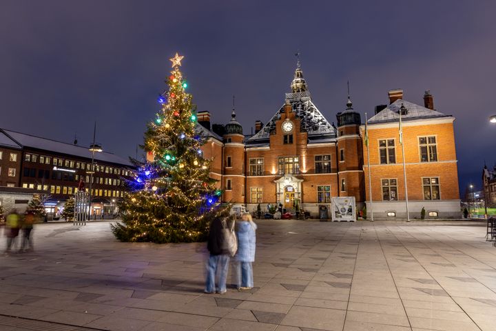 Rådhustorget i Umeå, med julgranen på plats. Foto: Fredrik Larsson/Umeå kommun