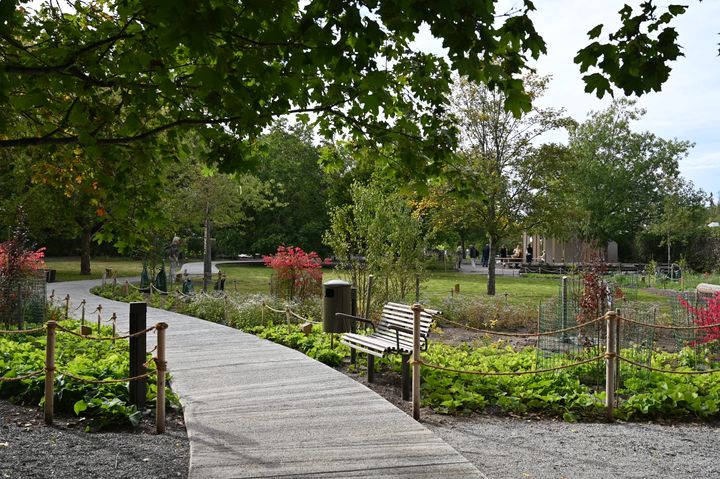 Åkeshovs arboretum, foto Sam Victorin