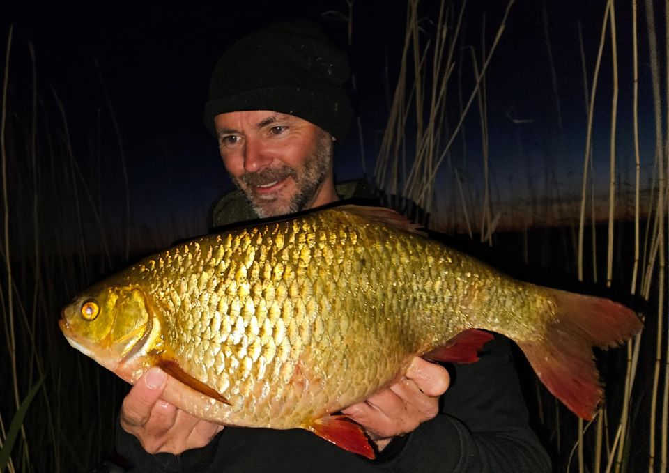 Ny svensk rekordsarv