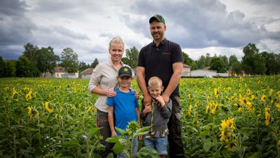 Familjen Haraldsson vid sin solrosodling i Mogata. Foto: Fredrik Nygren