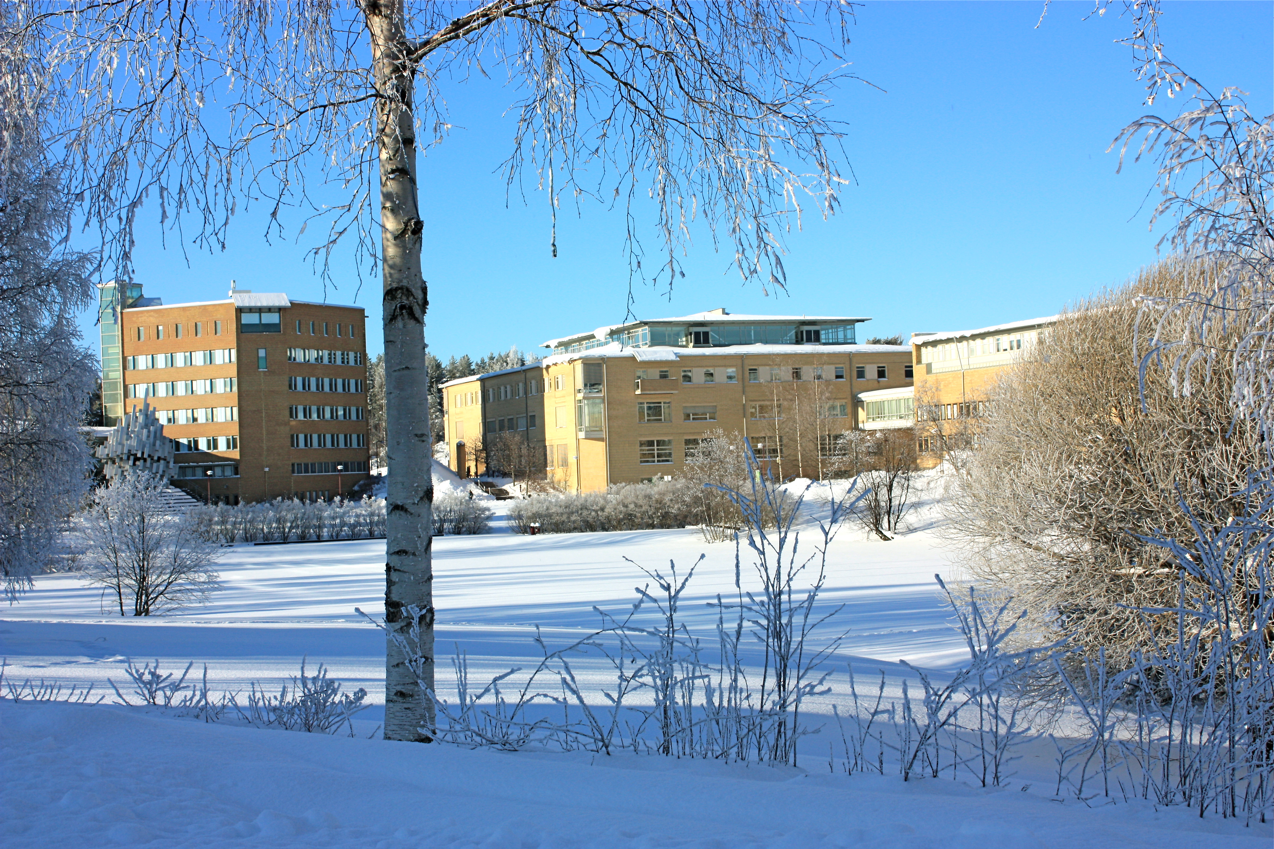 Förvaltningshus Umeå, fotograf: Michael Nordvall