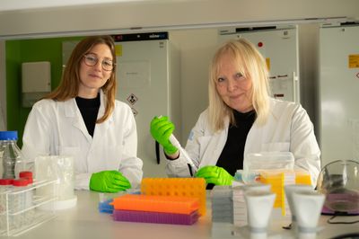 Doktorand Alexandra Wachtmeister och Professor Ann Nordgren. Foto: Ulf Sirborn
