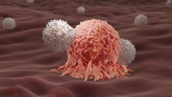 En CAR-T-cell attackerar en cancercell. Foto: Shutterstock