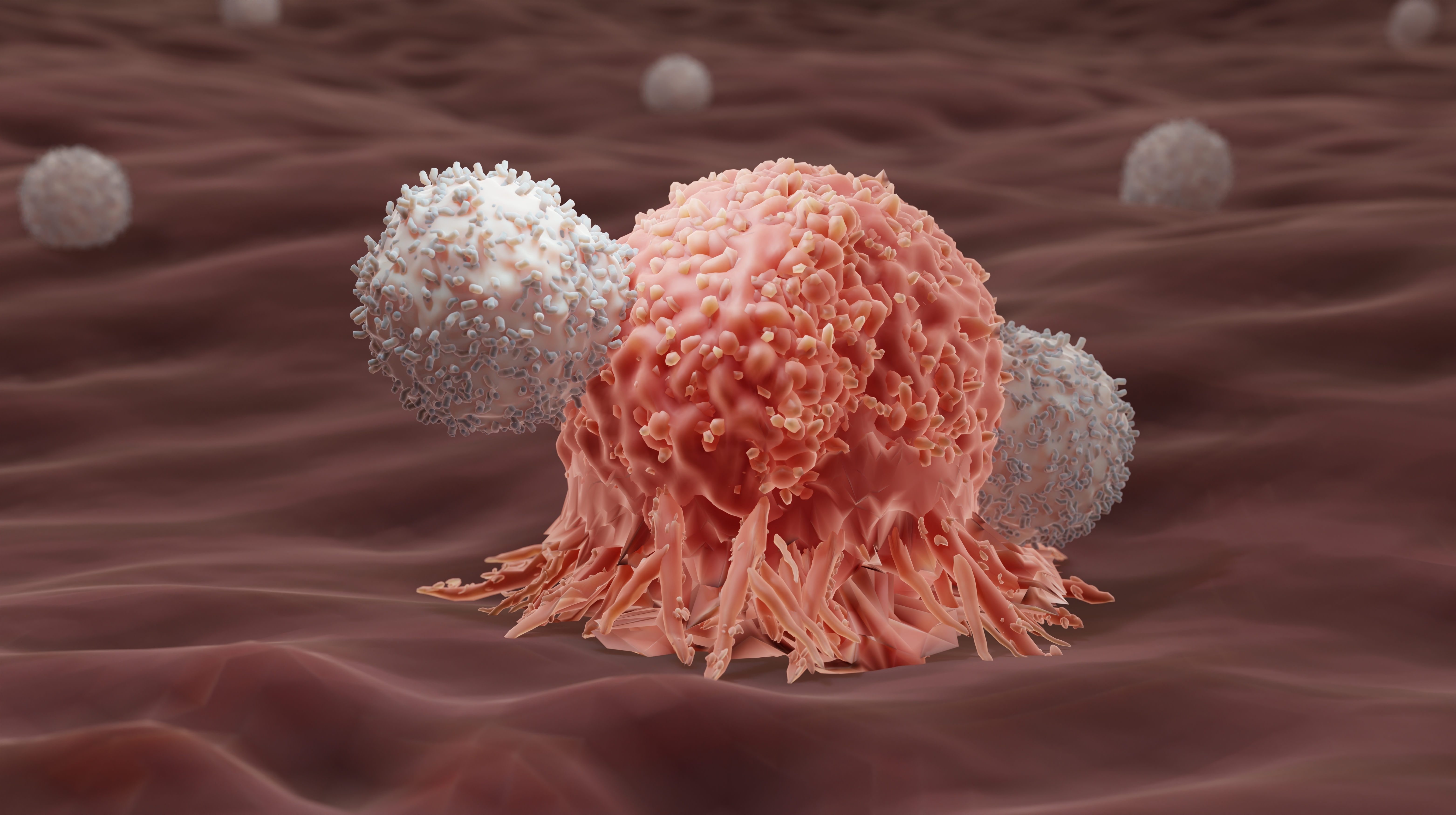 En CAR-T-cell attackerar en cancercell. Foto: Shutterstock