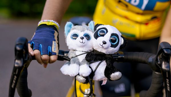 Ida med Knuts gosedjur på cykeln till Paris. Foto: Johan Artursson