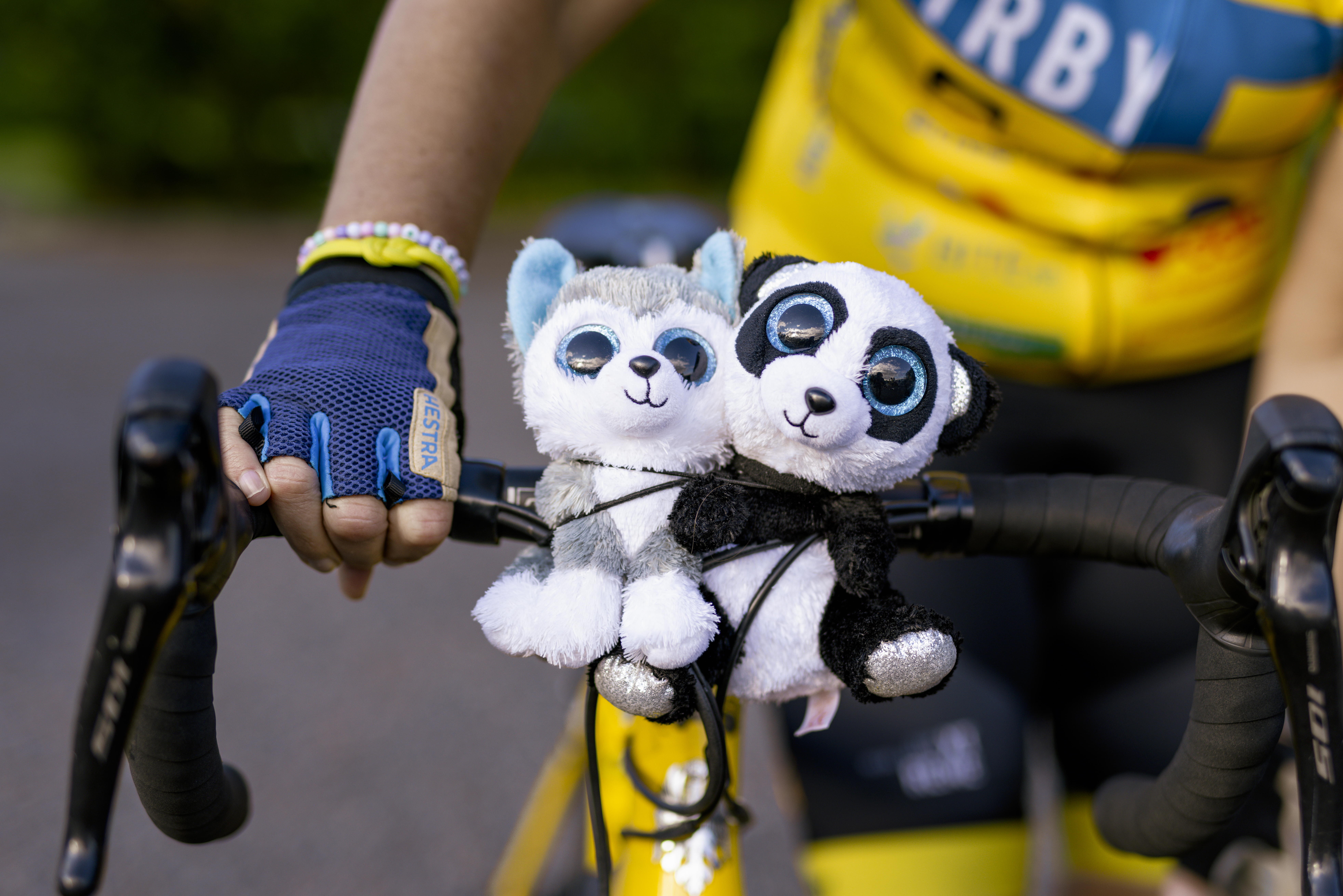 Ida med Knuts gosedjur på cykeln till Paris. Foto: Johan Artursson