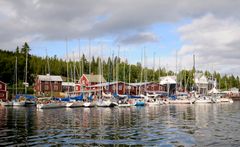 Ulvöregattan, båtar i Ulvö hamn