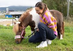 Shetlandsponnyn Rut betar i gräset,  bredvid henne står Maggan Eriksson Bech.