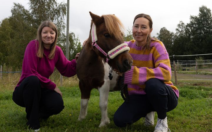 Ylva Ekman, shetlandsponnyn Rut och Maggan Eriksson Bech står ute på en gräsplan