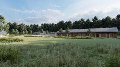 Idéskiss: Två fristående enplanshus med ett förråd mellan dem syns i en grönskande omgivning.