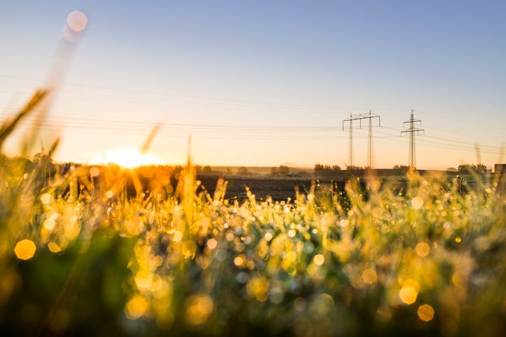 Ombyggnationen av kraftledningen mellan Knäred i Halland och Hässleholm i norra Skåne, via Skånes Fagerhult och Bjärnum, innebär en betydande förstärkning av elnätet i regionen, vilket är välkommet för berörda kommuner och företag i området.