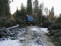 2 700 personer jobbade i skift med återställningsarbetet under fem veckors tid. De som var strömlösa längst tid fick klara sig i upp till 35 dygn.