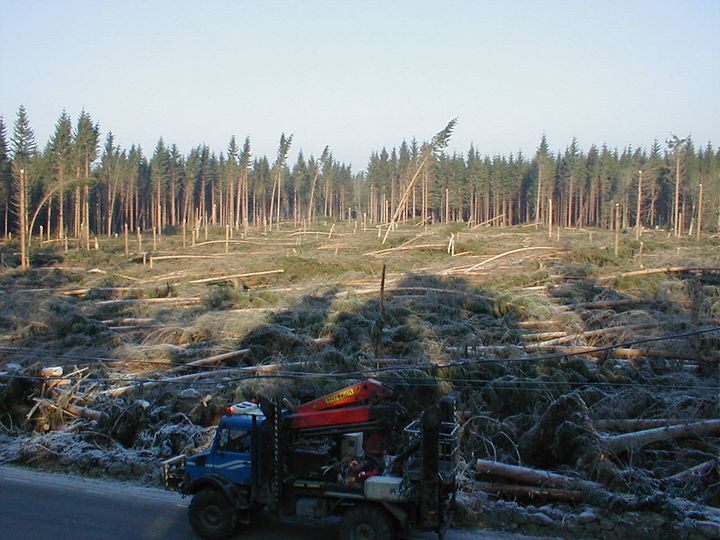 Idag är det 20 år sedan stormen Gudrun drabbade sydsverige. Mer än 260 000 E.ON-hushåll blev utan el efter att tusentals vindfällda träd förstörde elnätet i grunden. Sedan stormen har E.ON investerat 36 miljarder kronor i sina svenska lokalnät. Över 33 000 kilometer ledning har vädersäkrats från Skåne till Västerbotten. Det innebär att E.ONs elnät nu är 97 procent vädersäkrat, det vill säga nedgrävt eller isolerat.