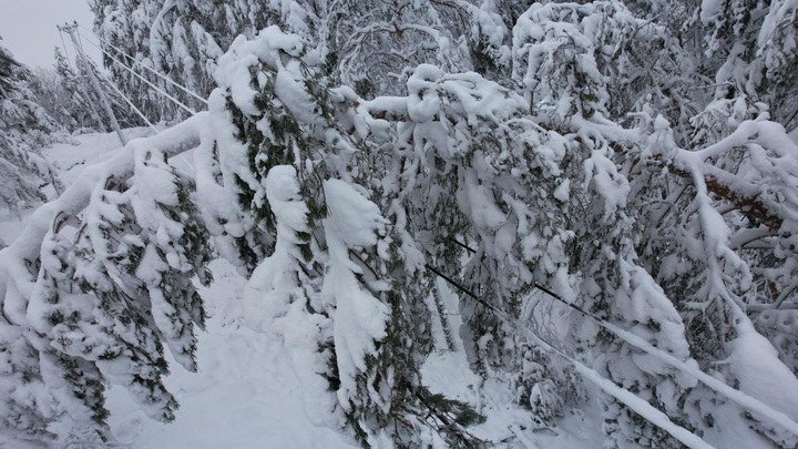 Fältpersonalen arbetar under mycket svåra vinterförhållanden för att återställa strömmen efter stormen Johannes, samtidigt som ett nytt oväder är på väg in.