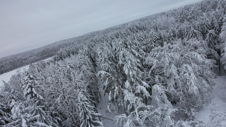 Efter stormarna Johannes och Anna pågår återställningsarbetet i bland annat Västernorrland och Gävleborg. E.ON arbetar med full bemanning för att få tillbaka strömmen till drabbade kunder. Helikopterinsatser används för att röja träd från elledningar. Väderläget påverkar både flyg- och markarbete.