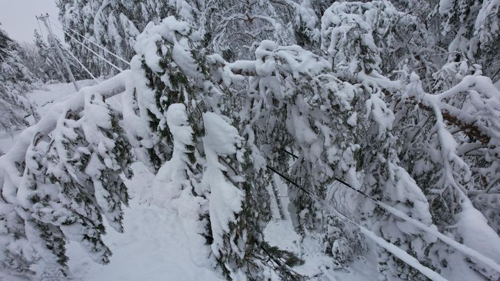 Efter stormarna Johannes och Anna fortsätter E.ON:s montörer och tekniker arbetet i fält. Samtliga fastboende kunder har fått tillbaka elen. Säkerheten är i fokus när nya träd faller över ledningar i snö och kyla.