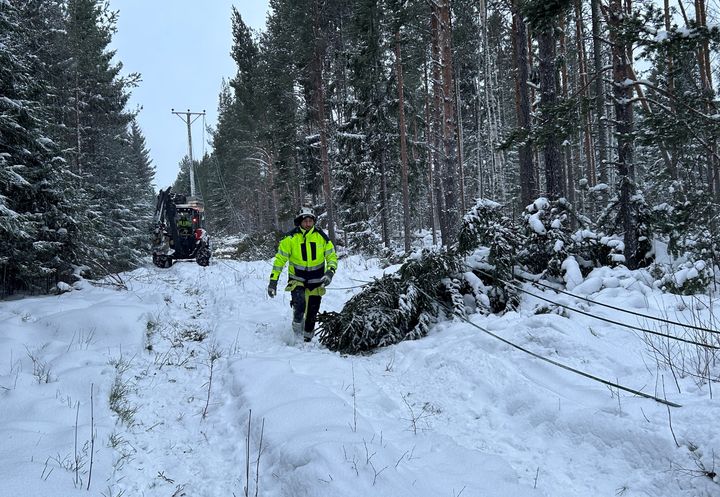 Stormen Johannes och snöovädret Anna satte både elnät och krisberedskap på prov. Nu samlas myndigheter, nätbolag och kommuner för att dra lärdomar, stärka samverkan och bygga ännu bättre beredskap för framtida påfrestningar – i ett allt mer utmanande klimat- och säkerhetsläge.