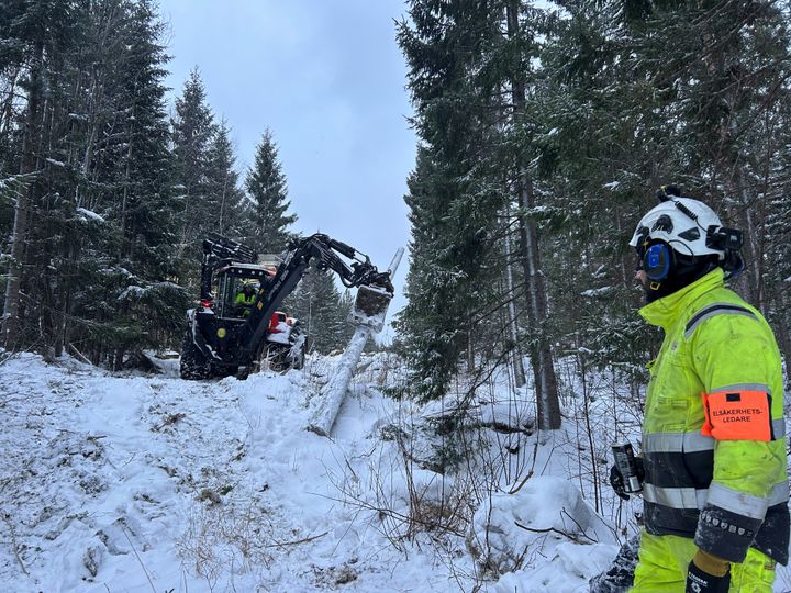 Återställningsarbetet efter stormen Johannes pågår fortfarande en månad efter ovädret. E.ON:s tekniker och entreprenörer arbetar i svår terräng med röjning av riskträd, byte av skadad infrastruktur och omfattande elsäkerhetsbesiktningar för att säkerställa ett tryggt och stabilt elnät. Bilden från Njurunda, utanför Sundsvall.