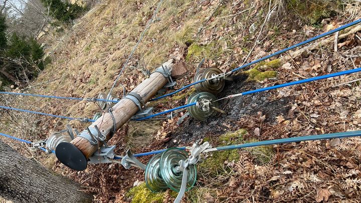 Stormskadad ledning i Östra Småland.