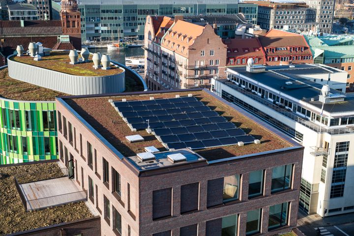 Ungdomar från Malmös föreningsliv samlas för miljöutbildning inför initiativet ”Malmö börjar med oss” – en gemensam satsning där föreningsliv, näringsliv och Malmö stad arbetar tillsammans för en renare och mer hållbar stad.