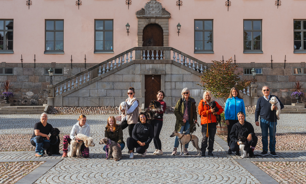 2024 års hundstipendiater och deras hundar.