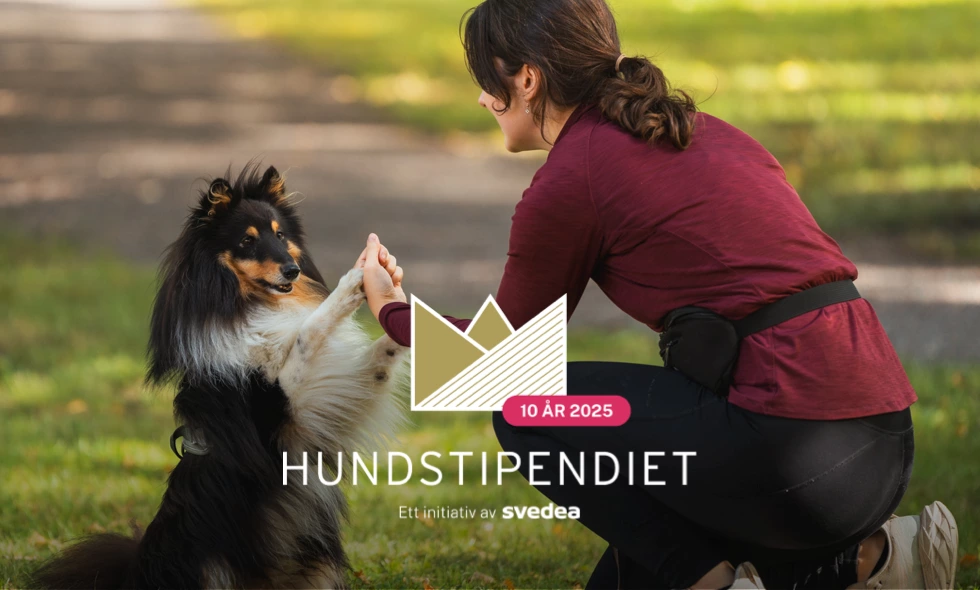 Hundstipendiet 2025 genomförs på Hesselby Slott den 30–31 augusti.