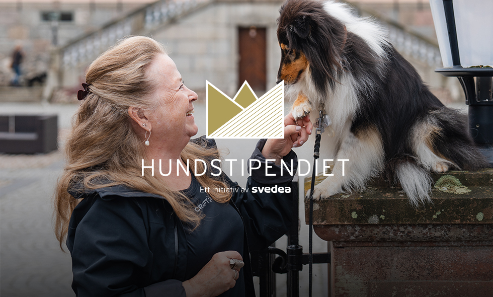 Helgen den 12–13 september genomförs Hundstipendiet på Hesselby Slott. Sök stipendiet senast 31 maj.