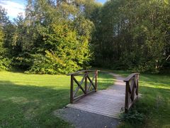 En stig med en liten träbro omgiven av tät växtlighet.