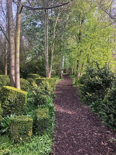 Gångstig omgiven av träd och välskötta buskar i Alnarps landskapslaboratorium.