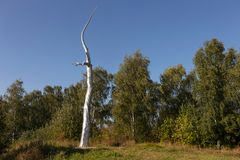 Ett 15, 5 meter högt träd i rostfritt stål tar plats på Vårbergstoppen i Skärholmen.