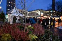 Växter som gran och ljung gör vinterplatserna mysiga. Foto: Sam Victorin