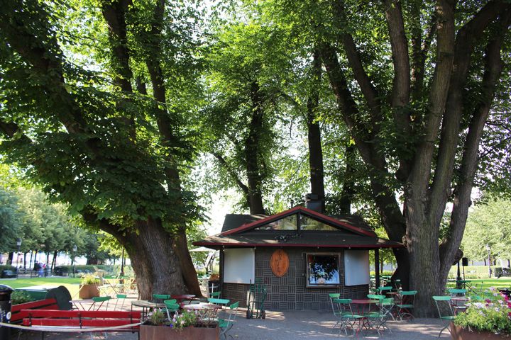 Stora almar runt en byggnad.