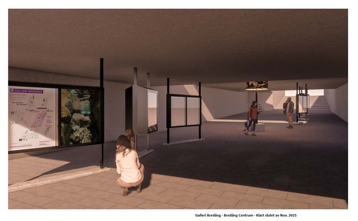 Illustration som visar tunneln med galleri.