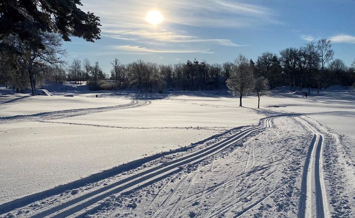 Ett öppet fält med skidspår på. Blå himmel och sol.
