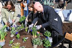 Tre personer planterar blommor.