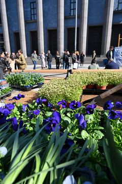 Blommor framför konserthuset.