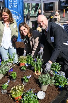 Tre personer planterar blommor.