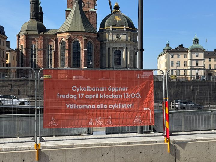 Vepa på byggstängsel