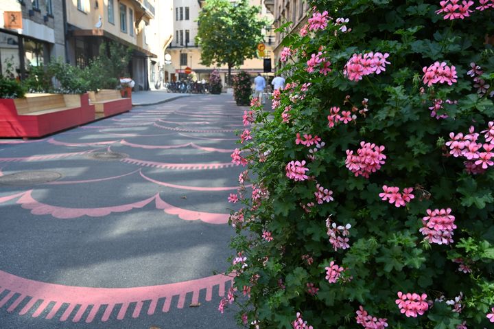 Gata med rosa målning på asfalten och rosa pelargoner.